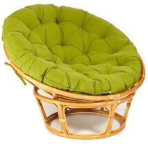 Кресло PAPASAN/ПАПАСАН 23/01 W  /с подушкой/