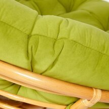 Кресло PAPASAN/ПАПАСАН 23/01 W  /с подушкой/