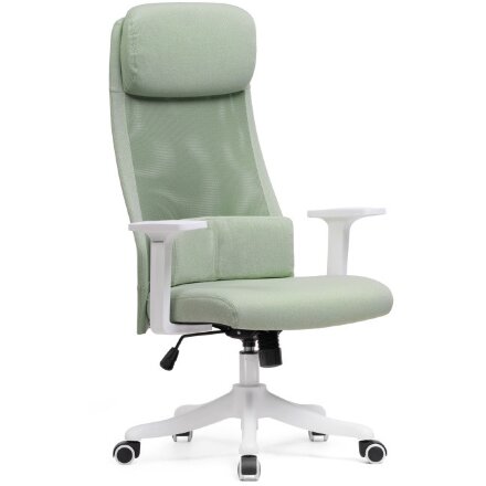 Компьютерное кресло Salta light green / white 